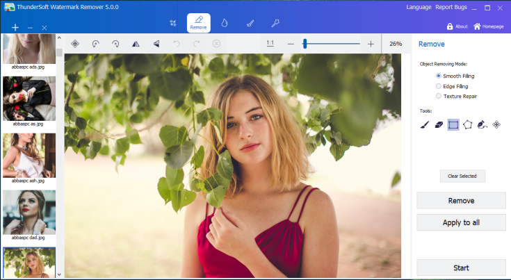 Photo Stamp Remover 13.1 Crack With License Key Free Download